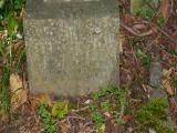 image of grave number 856497